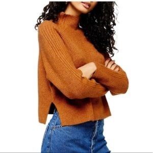 Topshop Cropped Sweater